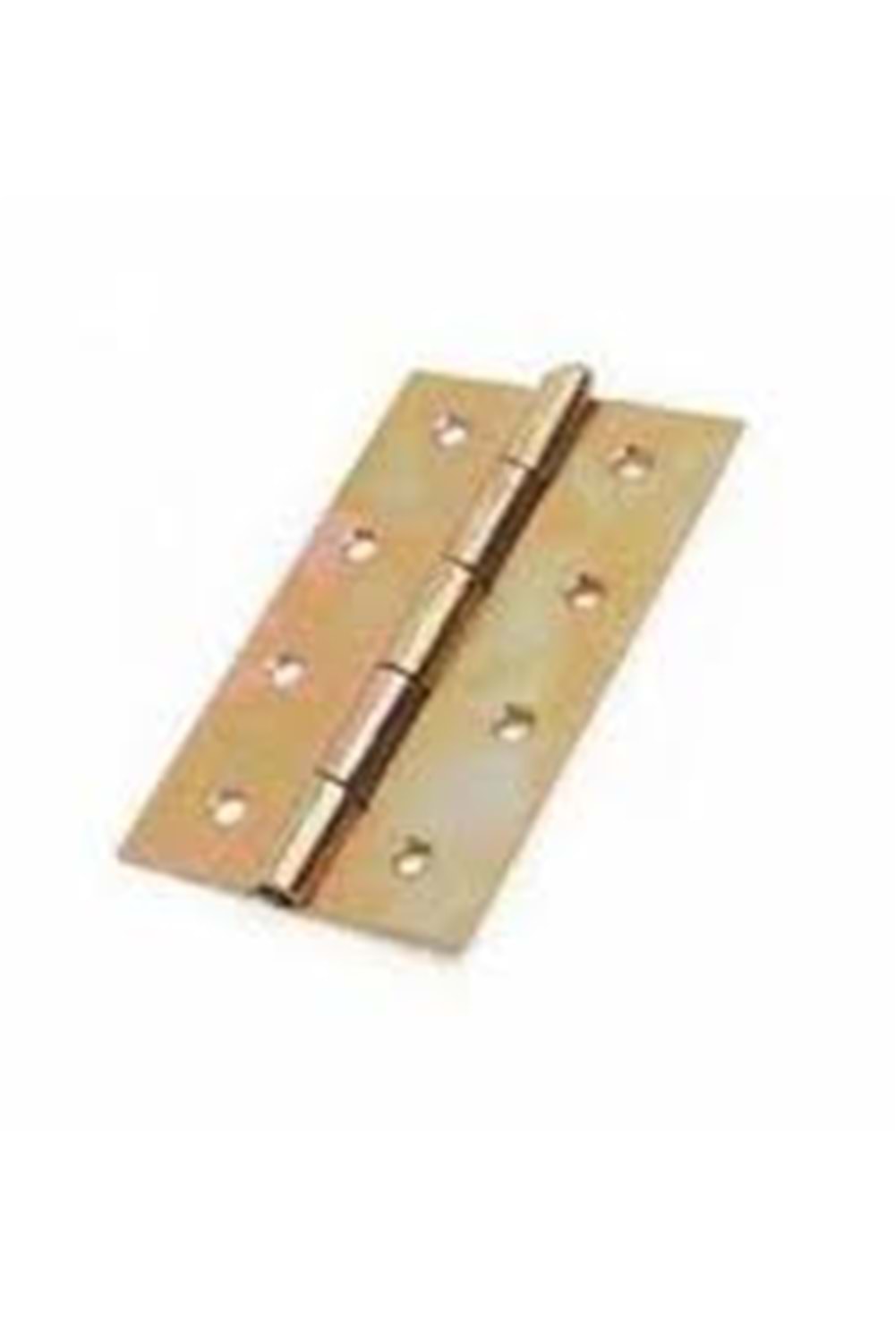 BEŞEL YAPRAK MENTEŞE SARI 5 NO ( PK 12 )