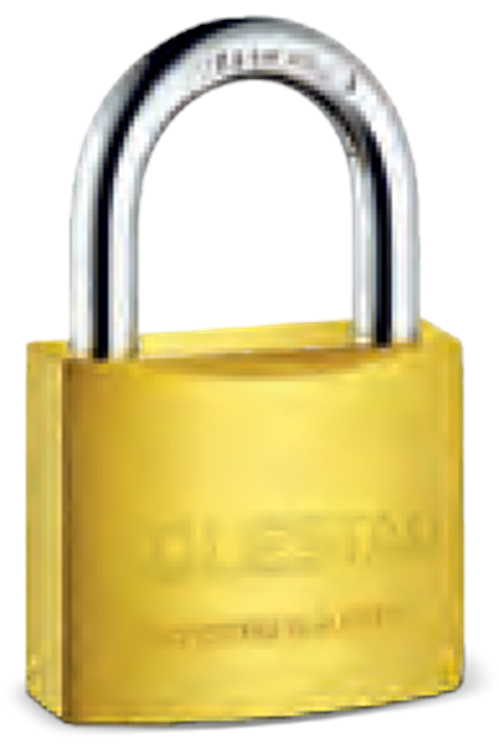 SOLESTAR ASMA KİLİT SARI KISA 38 MM STR-2002 ( PK 12 )